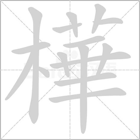 樺 五行|樺的意思，樺字的意思